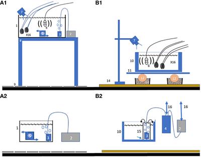 Deep behavioral impairment in the pearl oyster Pinctada radiata exposed to anthropogenic noise and light stress